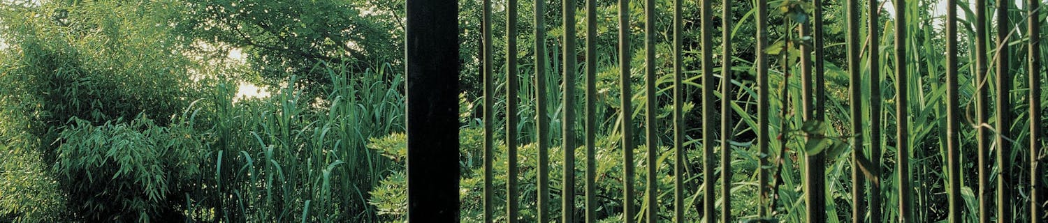 Vakker vegg deler hagen